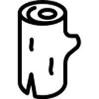 Fás: vetiver, cédrus, ciprusos