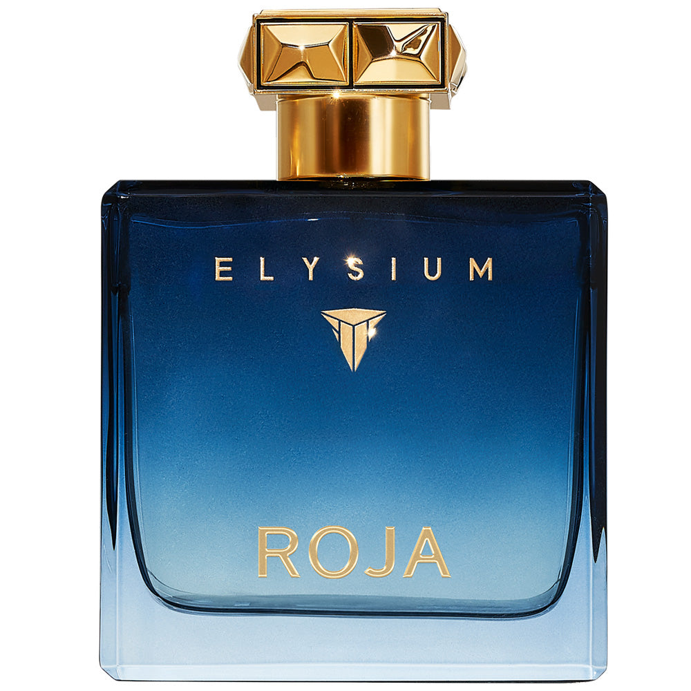 ROJA Elysium Pour Homme Eau de Parfum 100 ml Fő kép