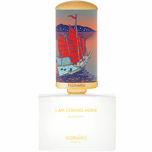 I am Coming Home